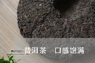 普洱茶 口感饱满/2023041108593